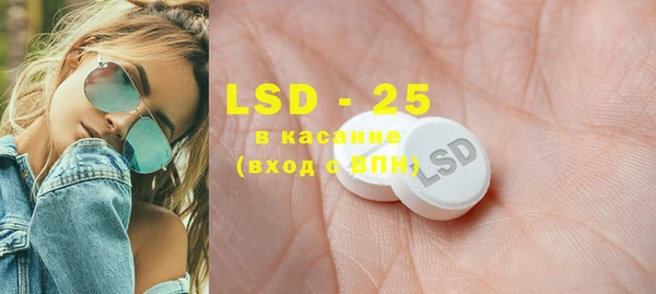 шишки Белоозёрский