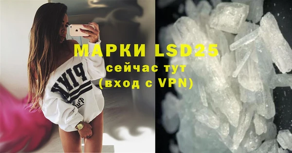 шишки Белоозёрский