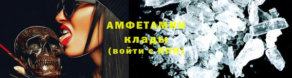 шишки Белоозёрский