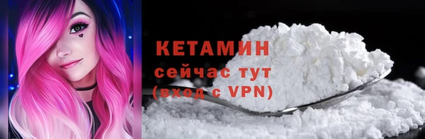 шишки Белоозёрский