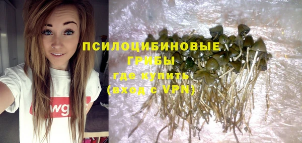 шишки Белоозёрский