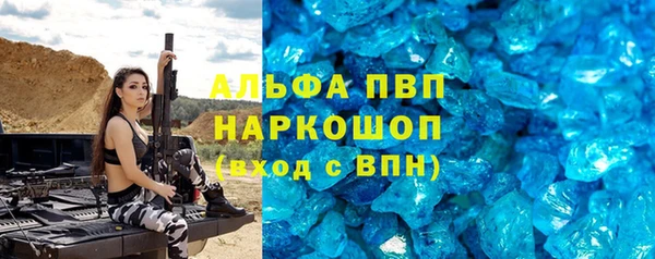 шишки Белоозёрский