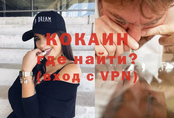 ГАЛЛЮЦИНОГЕННЫЕ ГРИБЫ Белокуриха