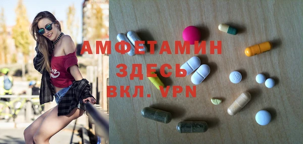 шишки Белоозёрский