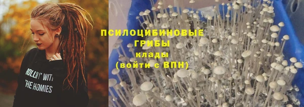 ГАЛЛЮЦИНОГЕННЫЕ ГРИБЫ Белокуриха
