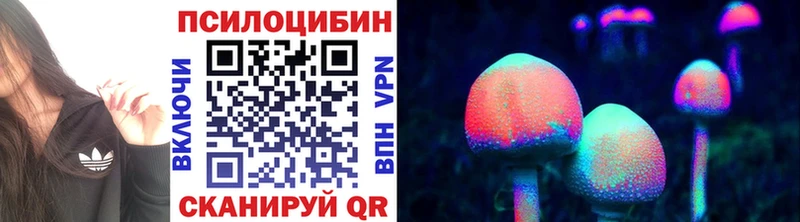 закладка Коркино Галлюциногенные грибы мицелий